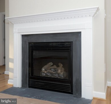 1625 Chopping Rd, Mineral, VA 23117 - photo 5