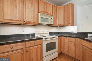 700 Cattail Cove, Cambridge, MD 21613 - photo 5