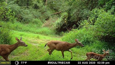 743 Cove Rd, Gastonia, NC 28052 - photo 3