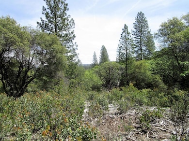 24271 Hoyt Crossing Rd, North San Juan, CA 95960 - photo 3