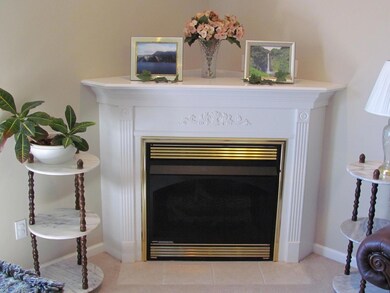 Gas fireplace in livingroom