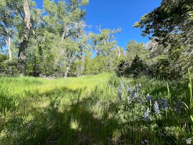 1 S Creek Rd, Monticello, UT 84535 - photo 2