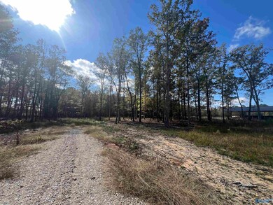 2050 Heritage Ln SW, Hartselle, AL 35640 - photo 3