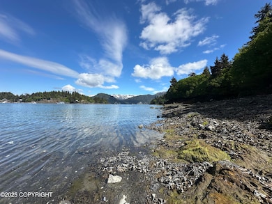 1100 ft A beautiful shoreline