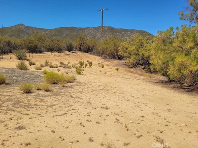 0 S Terwilliger Rd unit SW25167201, Anza, CA 92539 - photo 6