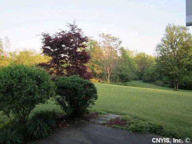 Yard/Garden