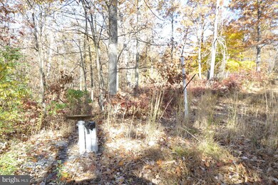LOT A Crystal Falls Dr, Smithsburg, MD - photo 7
