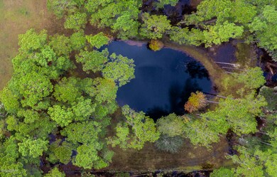 Private POND!
