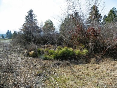 8 Ridge Loop Rd, Cle Elum, WA 98922 - photo 5