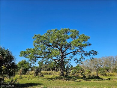 3921 Fort Denaud Road
LaBelle, FL 33935