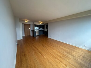 4180 N Marine Dr unit 1207, Chicago, IL 60613 - photo 3