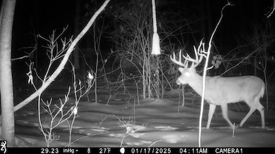 9 Coon Hollow Rd, Blue Creek, OH 45616 - photo 2