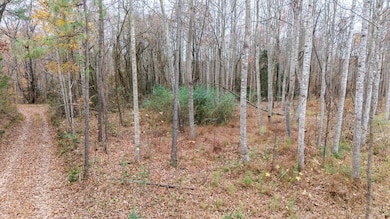 Lot 41 Oneal Rd, Champlain, VA 22438 - photo 3