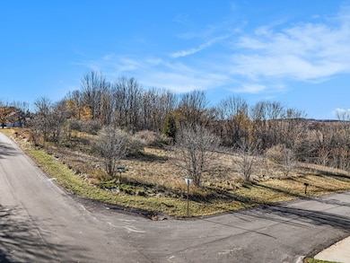 001_dji_20251112134624_0384_d_639