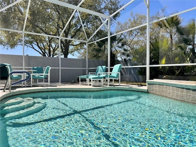 Pool Oasis