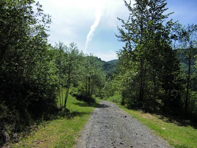 0 Reese Hill Rd unit 637157, Sumas, WA 98295 - photo 7