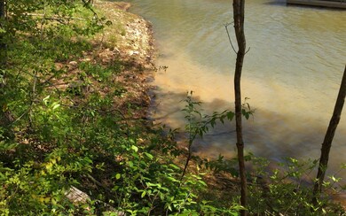 LT 7 Lakeview Cir, Hiawassee, GA 30546 - photo 4