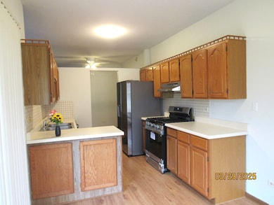 1735 Chesapeake Ln unit 7, Schaumburg, IL 60193 - photo 6