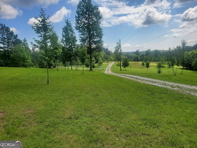 1401 Rainey Rd, Temple, GA 30179 - photo 7