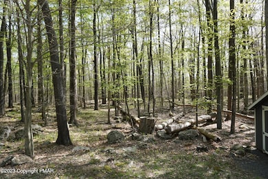 1694 Stag Run, Pocono Lake, PA 18347 - photo 4