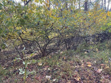 0 Hickory Falls Rd unit 361693, Blue Ridge, VA 24064 - photo 5