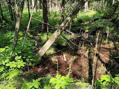 160 A Saint Ignace Rd unit 160 A, Hessel, MI 49745 - photo 4