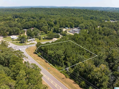 0000 Highway 52 unit 12-6-13-0-000-021.00, County, AL 35080 - photo 7