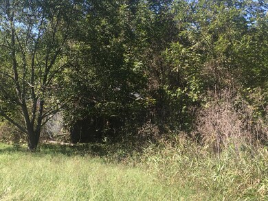 302 Cheyenne Rd, Nixa, MO 65714 - photo 4