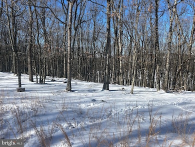 31 Turnberry Ln, Hazle Township, PA 18202 - photo 4