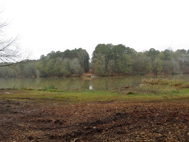 0 Sugar Creek Trail unit 69869, Buckhead, GA 30625 - photo 4