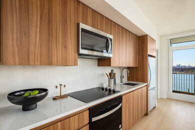 18 India St unit 1302S, Brooklyn, NY 11222 - photo 5