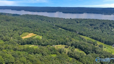 304 Carlton Rd, Scottsboro, AL 35769 - photo 4