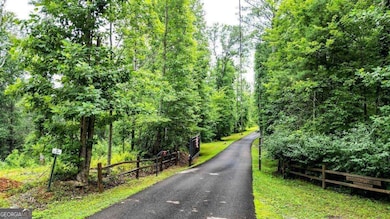 1267 Hicks Ford Rd, Ellijay, GA 30540 - photo 6