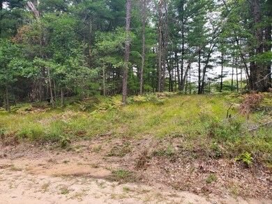 00 Parkside Ave, Yates Township, MI 49642 - photo 3