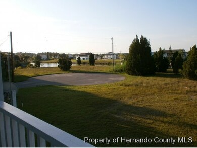 3183 Hibiscus Dr, Hernando Beach, FL 34607 - photo 7