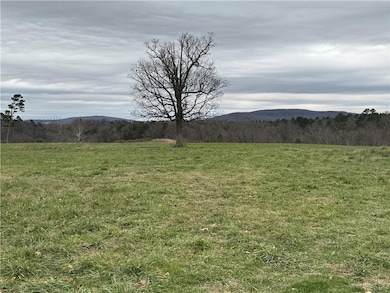 Tract B-1 Nicewarner Rd, Lincoln, AR 72744 - photo 3