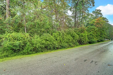 14 W Lake Forest Ct, Conroe, TX 77384 - photo 2