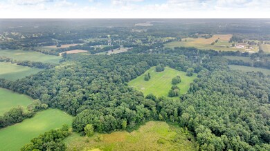 2500 Maulelane Dr, Summit Township, MI 49201 - photo 6