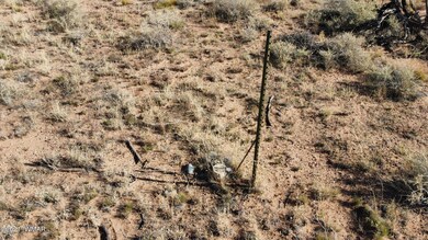 Photo_6554427_DJI_827_jpg_4174059_0_2021