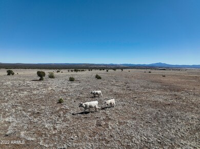 Juniperwood Ranch Lot 99