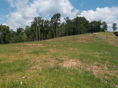 0 Morgan Rd, Rutledge, TN 37861 - photo 5