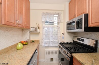 5 Roosevelt Place unit 1F, Montclair Twp., NJ 07042 - photo 5