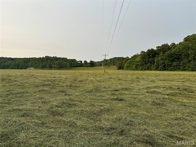 000 Wayne Route D, Greenville, MO 63944 - photo 7