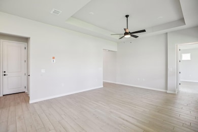 Spare room with a tray ceiling, light wood finished floors, and ceiling fan