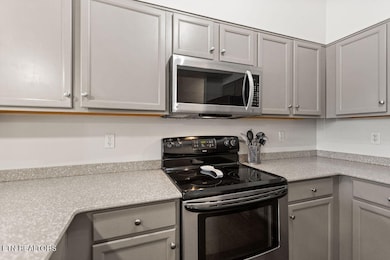 River Towne Condominiums unit 105, Knoxville, TN 37920 - photo 7