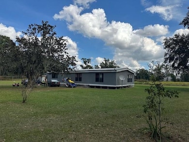 10102 Loetscher Ln, Lithia, FL 33547 - photo 6