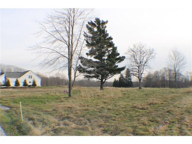 VL Trails End, Aurora, OH 44202 - photo 4