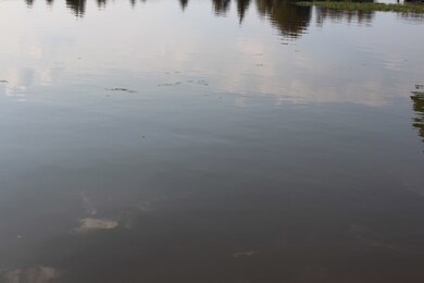 Wide Open Water Views
