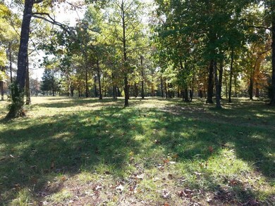 Lot 265 Little Aunts Creek, Kimberling City, MO 65686 - photo 4