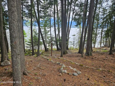 Filtered Lake view